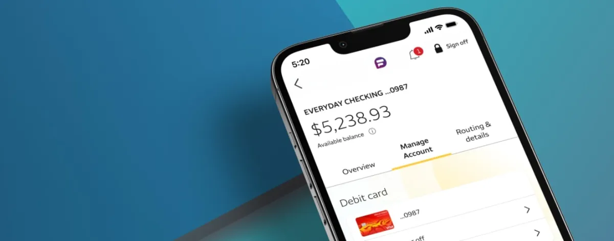Wells Fargo Everyday Checking 账户页面